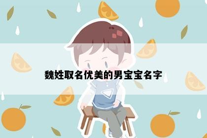 魏姓取名优美的男宝宝名字